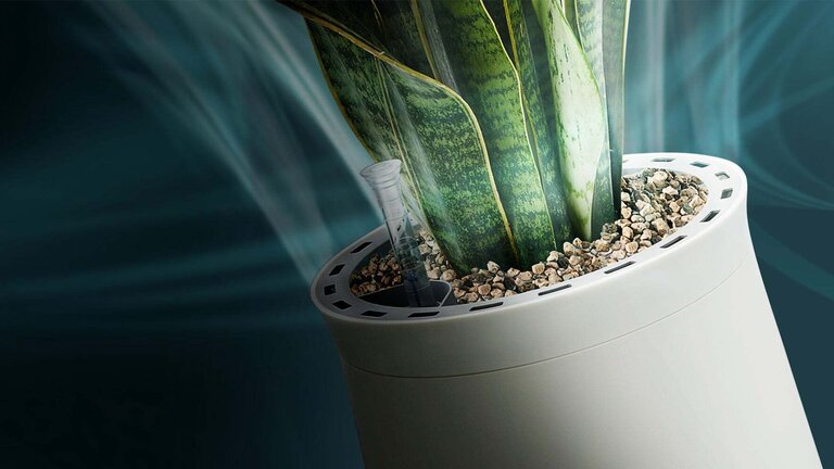 AIRY Topf mit Pflanze beim Reinigen der Luft stilisiert